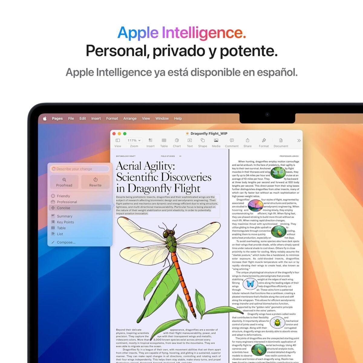 Apple 2025 MacBook Air 13 Inch with M4 Chip Designed for Apple Intelligence 136 Inch Liquid Retina Display 16 GB Unified Memory 256 GB SSD Spanish Keyboard Midnight Ma boutique